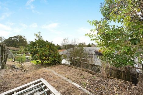 Photo of property in 217 Bankwood Road, Chartwell, Hamilton, 3210