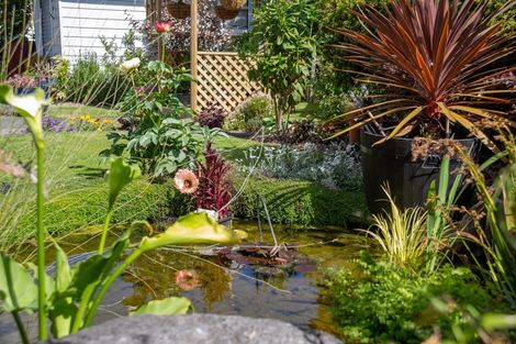 Photo of property in 43 Fergusson Street, Solway, Masterton, 5810