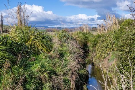 Photo of property in 80541 Masterton Road, Woodville, 4999