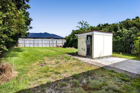 Photo of property in 97 Brecon Road, Stratford, 4332