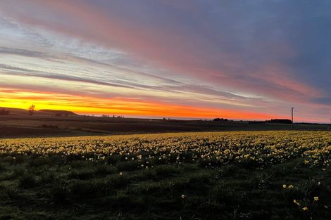 Photo of property in 49 Webbs Road, Amberley, 7481