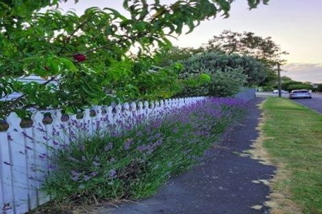 Photo of property in 17 Scott Street, Sydenham, Christchurch, 8023