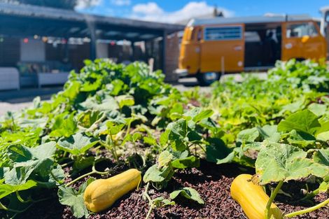 Photo of property in 14 Goldie Place, Waikanae Beach, Waikanae, 5036