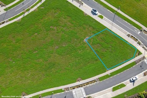 Photo of property in 61 Emerald Avenue, Rosehill, Papakura, 2113