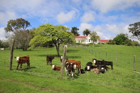 Photo of property in 900 Port Albert Road, Wellsford, 0973