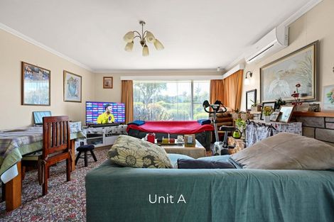 Photo of property in 58a Dinsdale Road, Dinsdale, Hamilton, 3204