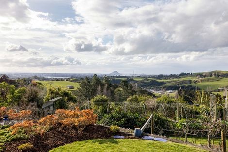 Photo of property in 393 Upper Ohauiti Road, Ohauiti, Tauranga, 3173