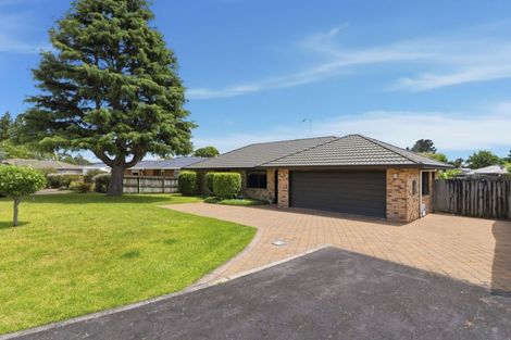 Photo of property in 7 Burnt Oak Drive, Pyes Pa, Tauranga, 3112