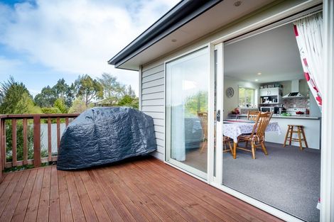 Photo of property in 45 Saint Albans Street, Bradford, Dunedin, 9011