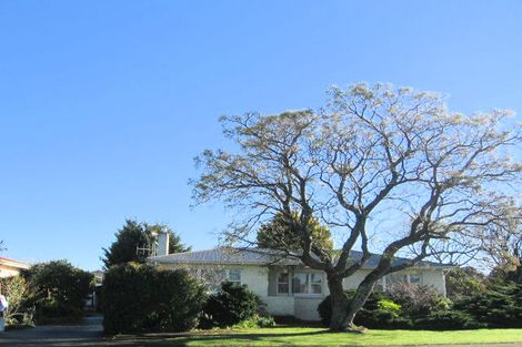 Photo of property in 910 Nelson Street North, Mahora, Hastings, 4120