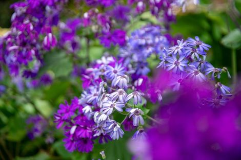 Photo of property in 450 Te Moana Road, Waikanae, 5036