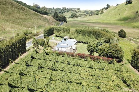 Photo of property in 120 Rotoehu Road, Pukehina, Te Puke, 3186