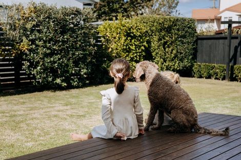 Photo of property in 559 Maunganui Road, Mount Maunganui, 3116