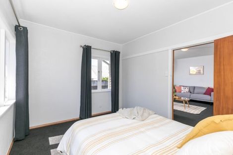 Photo of property in 167 Clarkin Road, Fairfield, Hamilton, 3214