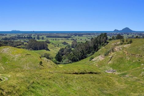 Photo of property in 220a Withy Road, Manawahe, Whakatane, 3193