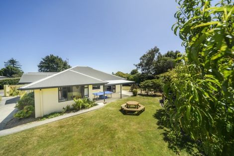 Photo of property in 12 Austin Place, Awapuni, Palmerston North, 4412