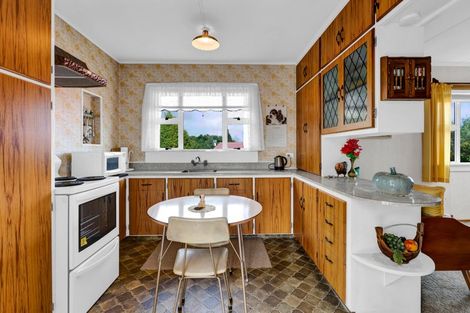 Photo of property in 19 Essex Street, Vogeltown, New Plymouth, 4310