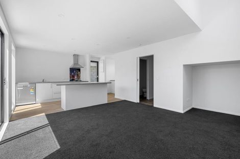 Photo of property in 46b Nursery Road, Phillipstown, Christchurch, 8011