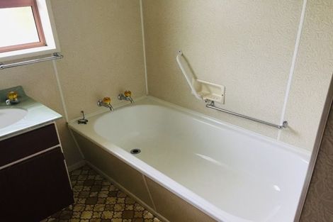 Photo of property in 3 Tweed Street, Roxburgh, 9500