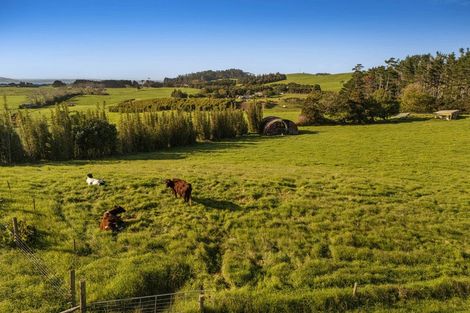 Photo of property in 2640 South Head Road, South Head, Helensville, 0874