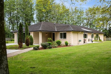 Photo of property in 29 Sheffield Street, Matamata, 3400