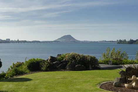 Photo of property in 304 Maungatapu Road, Maungatapu, Tauranga, 3112