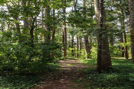 Photo of property in 1174 Kahikatea Flat Road, Waitoki, Kaukapakapa, 0871