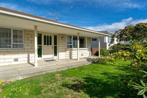 Photo of property in 161b Eglinton Road, Mornington, Dunedin, 9011