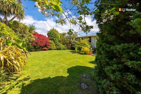 Photo of property in 6 Erskine Place, Saint Clair, Dunedin, 9012