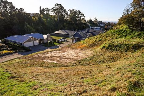 Photo of property in 21 Taruna Place, Havelock North, 4130