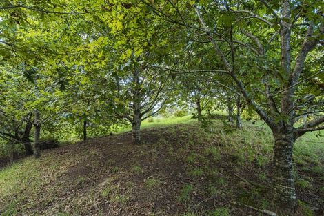 Photo of property in 65 Rushbrook Road, Ruatangata West, Kamo, 0185