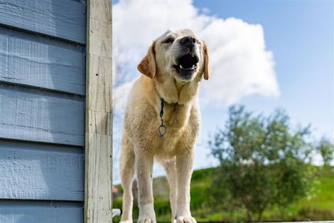 Photo of property in 15 Witheford Road, Wharehine, Wellsford, 0973