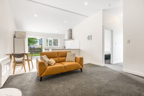 Photo of property in 17 Wiremu Street, Mount Eden, Auckland, 1041