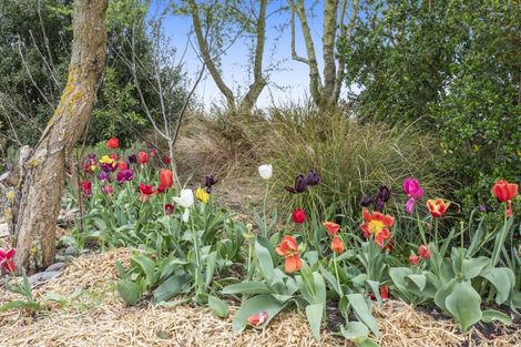 Photo of property in 52 Jacksons Road, Ohoka, Kaiapoi, 7692