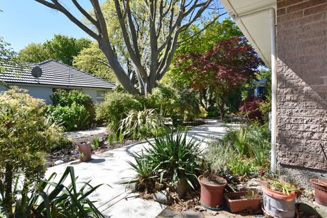 Photo of property in 94 Harakeke Street, Fendalton, Christchurch, 8014