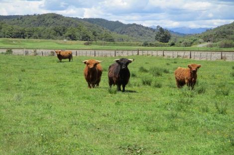 Photo of property in 59 Matai Road, Ngahere, Dobson, 7872