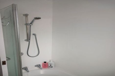 Photo of property in 24 Mahoe Street, Levin, 5510