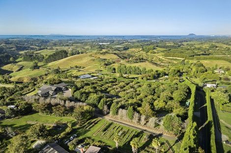 Photo of property in 230a Waipapa Block Road, Whakamarama, Tauranga, 3180
