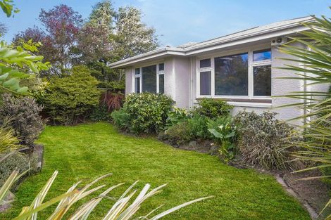 Photo of property in 11 Bewdley Street, Spreydon, Christchurch, 8024