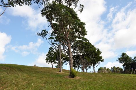 Photo of property in 5 Kookaburra Drive, Tawharanui Peninsula, Warkworth, 0986