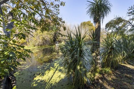 Photo of property in 28d Meehan Street, Islington, Blenheim, 7201