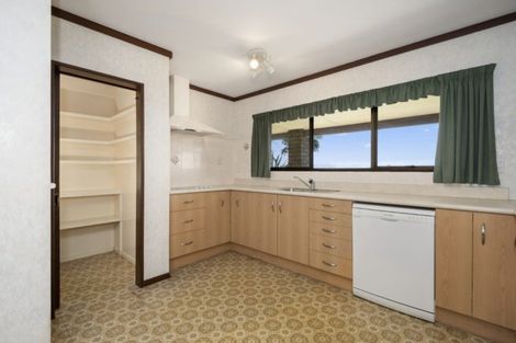 Photo of property in 162 Pukemapu Road, Oropi, Tauranga, 3173