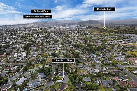 Photo of property in 7 Bushlands Place, Opaheke, Papakura, 2113