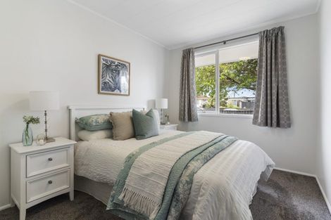 Photo of property in 17 Harania Avenue, Favona, Auckland, 2024