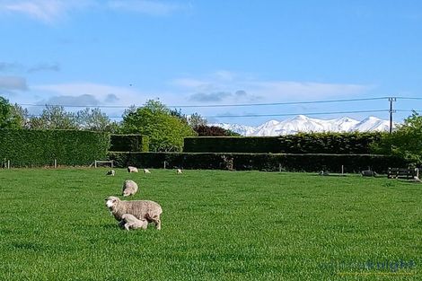 Photo of property in 550 Mclaughlins Road, Darfield, 7571