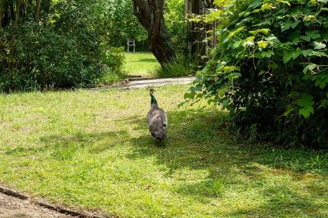 Photo of property in 432 Masterton Stronvar Road, Weraiti, Masterton, 5890