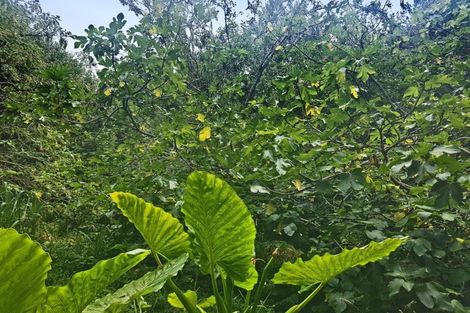 Photo of property in 914 Whakapirau Road, Whakapirau, Maungaturoto, 0583