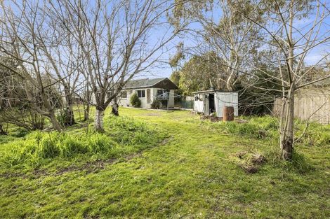 Photo of property in 97 Thomas Street, Waikouaiti, 9510