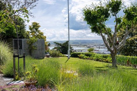 Photo of property in 8 Goldsmith Terrace, Hospital Hill, Napier, 4110