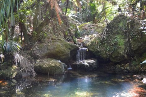 Photo of property in 1455 Buffalo Road, Coromandel, 3506